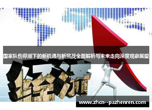国家队伤停潮下的新机遇与新挑战全面解析与未来走向深度观察展望